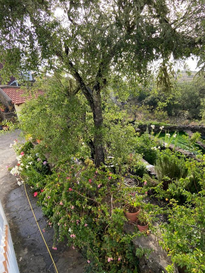 Casas Rurales Tio Antonio Las Rosas  Eksteriør bilde